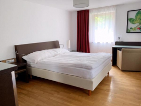 Appartement mit Terasse
